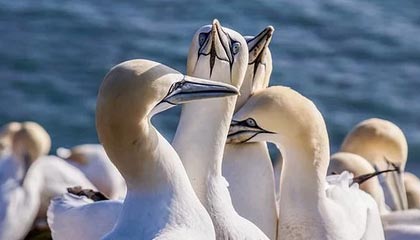 kaiyun开云·官方网站-中超联赛中国队战平 球员表现稳健，中超联赛中国队战平 球员表现稳健还是稳定