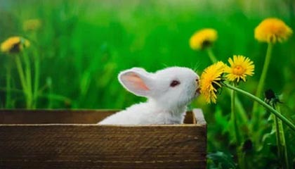 kaiyun开云·官方网站-中超联赛中国队战平 球员表现稳健，中超联赛中国队战平 球员表现稳健还是稳定